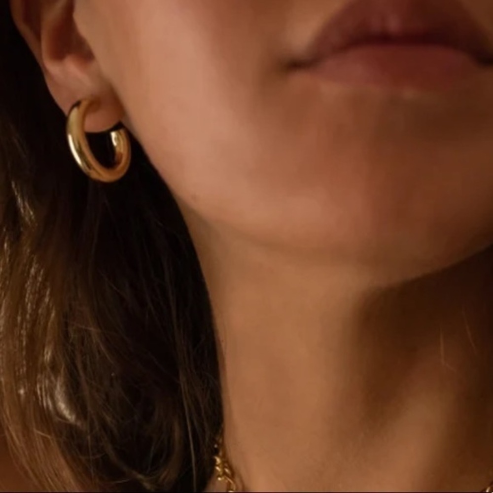 House of Harlow 1960 Chunky Hoop earrings